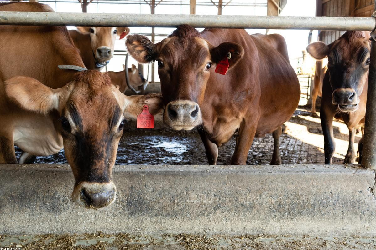 Long-Term Wealth: Complete 2025 Overview